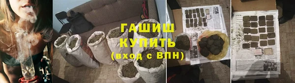 спайс Корсаков