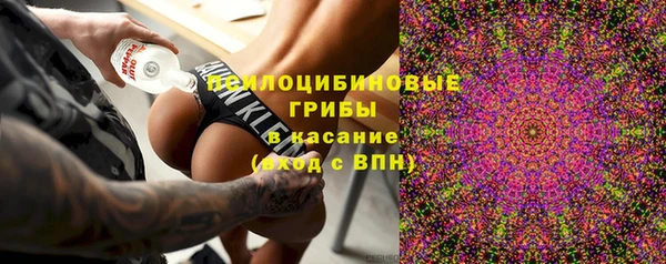 спайс Корсаков