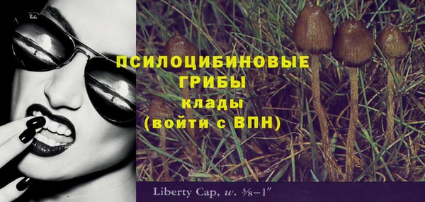 ALPHA-PVP Краснослободск