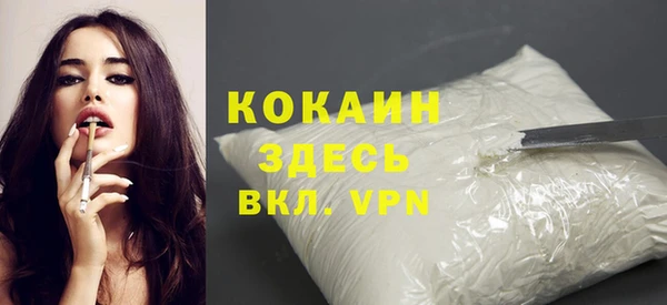спайс Корсаков