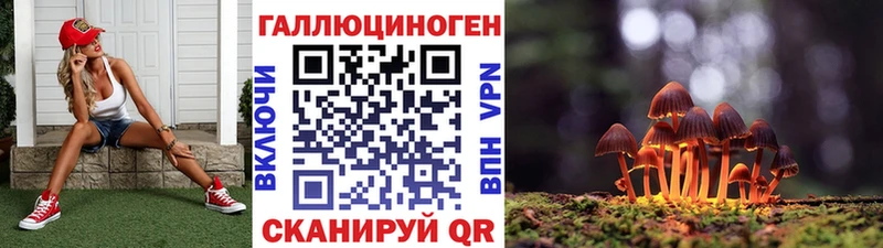 наркота  Первоуральск  Псилоцибиновые грибы Psilocybe 